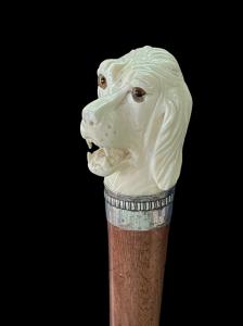 Stock mit Elfenbein-Knauf in Form eines Hundekopfes.
