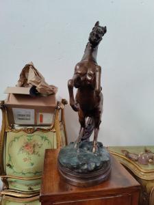 Foto 9
