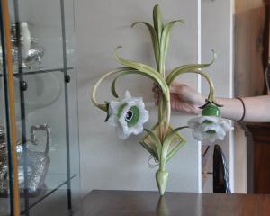 Foto 1