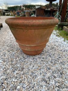 Conche antiche 