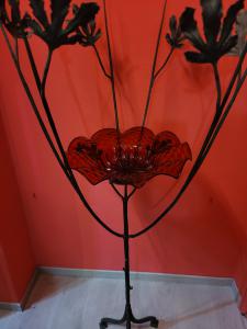 Foto 7