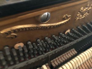 Foto 6