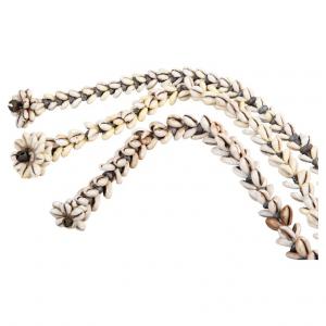 Long shell strips - O/4013 -