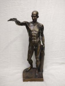 Spettacolare Corpo Anatomico in Bronzo - H 78 cm - Francia - Periodo Déco