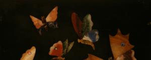 Foto 9