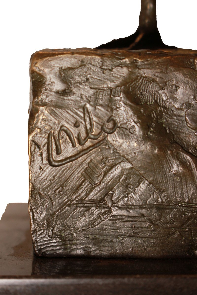 Scultura Portoghese Firmata Milo XX secolo raffigurante Gardellino - Foto 7