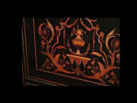 French Secretaire Napoleon III Style 19th Century Ebony Wood - Foto 8
