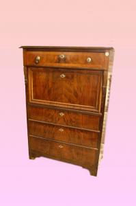 Secretária do Norte da Europa do século XIX em estilo Biedermeier em nogueira flamejada