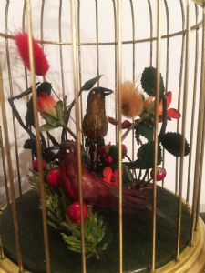 Foto 6
