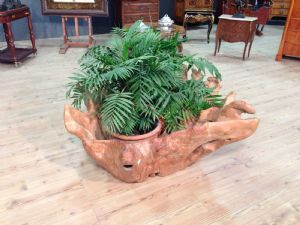 Fioriera indonesiana in legno di teak ricavata da una radice del XX secolo