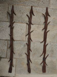 Foto 6
