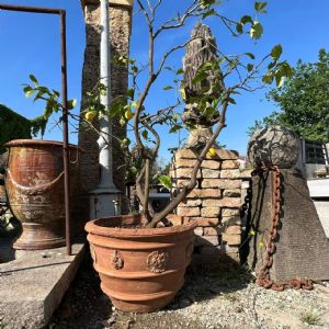 Conca in terracotta