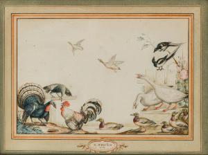 NICOLAAS STRUYCK (AMSTERDÃO 1686- 1769)