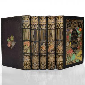 Le Maout. Die drei Reiche der Natur. Paris, Curmer, 1852-54. Gervais. Die drei Reiche der Natur. Paris, Curmer, 1854-55. M.P. - A. CAP. Museum für Naturgeschichte. Paris, Curmer, 1854