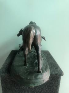 Foto 5