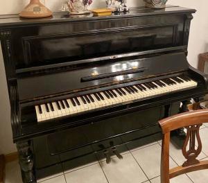 Foto 5
