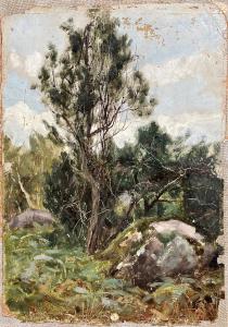Forêt de Fontainbleau (1882)