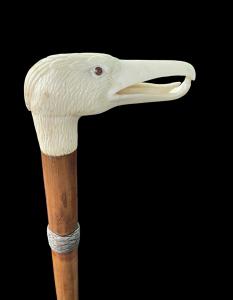 Stock mit Elfenbeingriff, der einen Vogelkopf darstellt.