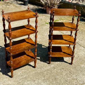 Extremely Rare and Unobtainable Pair of Antique Walnut Etagere Bookcases, Directory Period, Piedmont