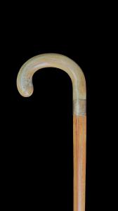 Cane con manico ricurvo in corno.