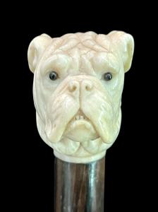 Stock mit Elfenbeingriff in Form eines Molosserhundekopfes.