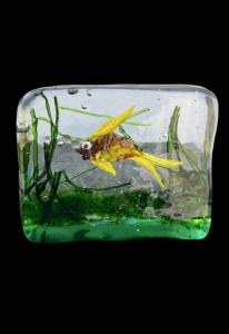 Acquario in vetro sommerso.Alfredo Barbini,Murano.