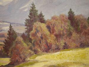 Alpenlandschaft - Foto 5