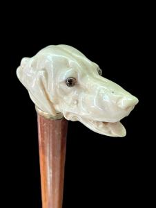 Stock mit Elfenbeingriff in Form eines Hundekopfes.