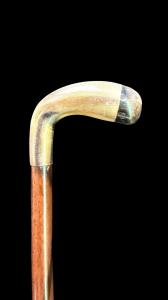 Stock mit Horn-Griff und Rosenholz-Schaft.