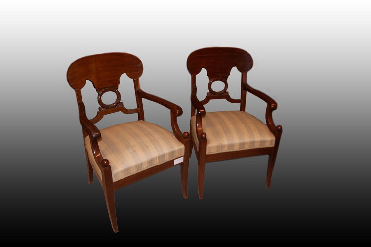 Par de poltronas estilo Biedermeier do século XIX em madeira de mogno e pluma de mogno