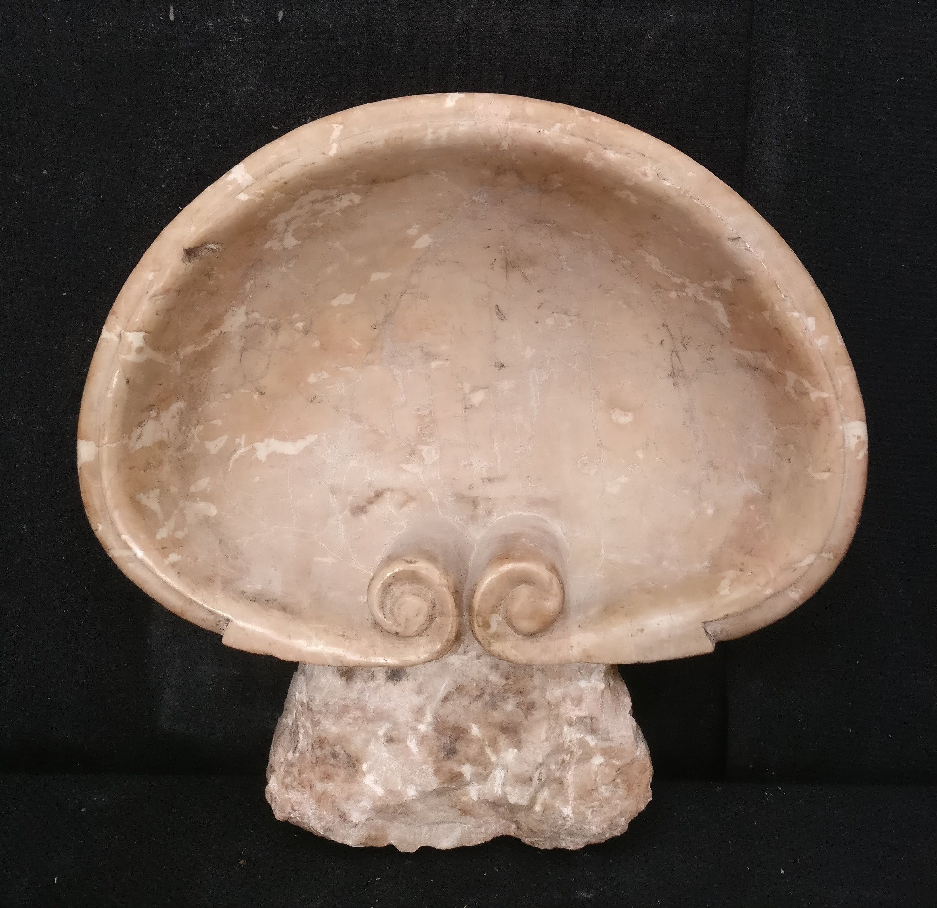 Grande Acquasantiera/Lavandino baccellata in Marmo Breccia Pernice - 51 x 50 cm - xx secolo - Venezia
