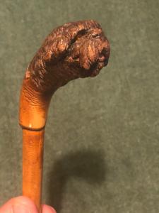 Foto 5