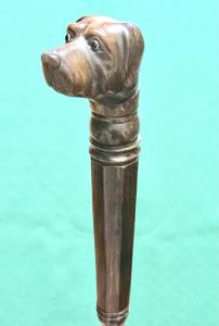 Spazierstock mit Horngriff in Form eines Hundekopfes. Schaft aus Malakka.
