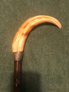 Bastone con impugnatura in dente di facocero,ghiera in argento.