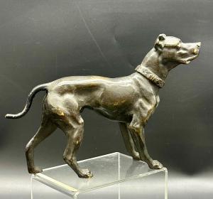 Scultura “Cane in Attesa” in Bronzo Patinato – XIX secolo