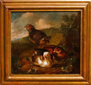 Foto 2
