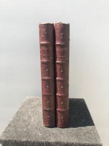 Kiste in Form eines Buchpaares aus Leder beschichteten Holz mit Backgammon im Inneren.