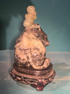 Foto 7