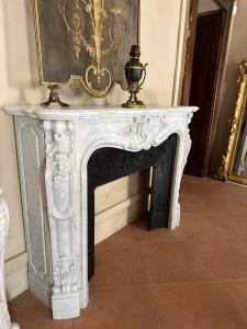 French Napoleon III fireplace with contemporary reducer