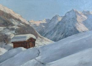 Paesaggio Innevato, Klosters Cavadurli, Silvretta, Svizzera  - Foto 9