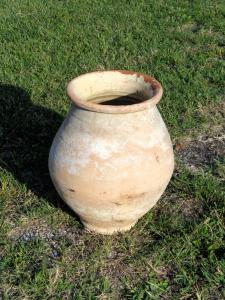Talha da Ligúria