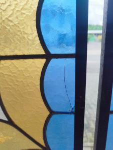 Foto 7