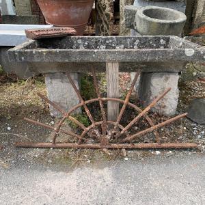 Antica rostra 