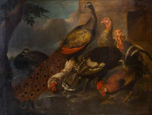 Giovanni Crivelli (detto il Crivellino), "Pavoni, tacchini e galli", olio su tela, Epoca '700, Giovanni Crivelli (known as Il Crivellino), “Peacocks, Turkeys, and Roosters,” oil on canvas, 18th century