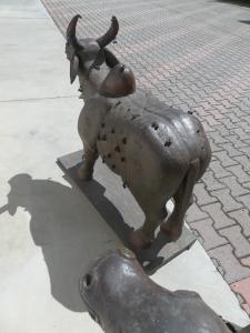 Foto 7