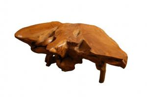 Indonesian mangrove root coffee table