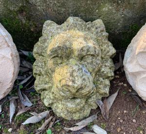 Stone lion head