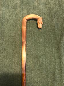 Bastone con impugnatura in corno biondo raffigurante testa di cane.Canna in noce.