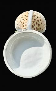 Porcelain vase with applied parrot and insect and butterfly decoration, Thuringian manufacture (probably Sitzendorf), Germany - Foto 9