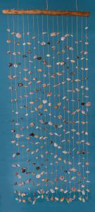 Muschelvorhang - SN -
